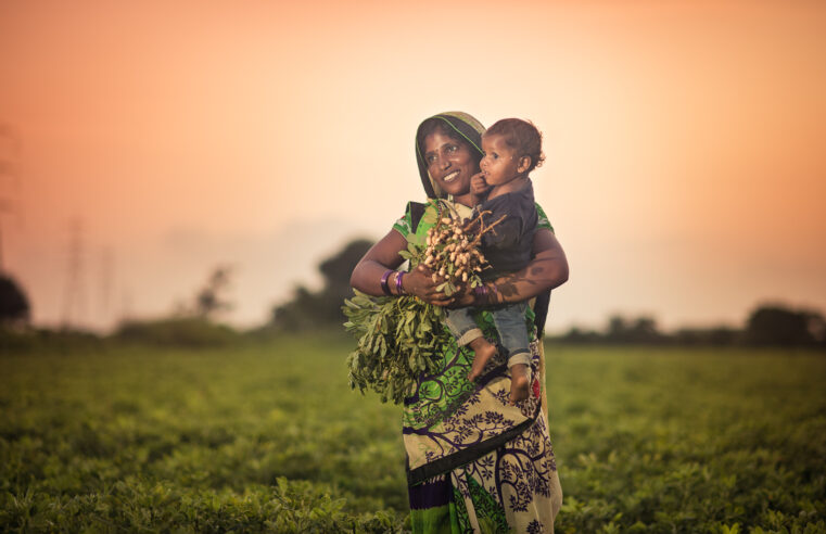 The Evolution of India’s Peanut Industry and Agrocrops’ Transformative Role