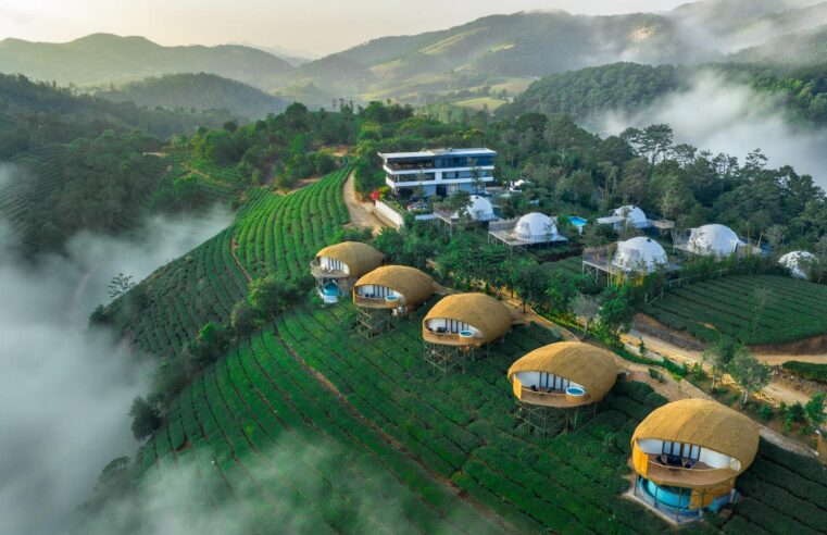 Monticle Glamps- Vagamon’s Top Resort Earns highest Guest Ratings as Kerala’s Premier Luxury Glamping Destination