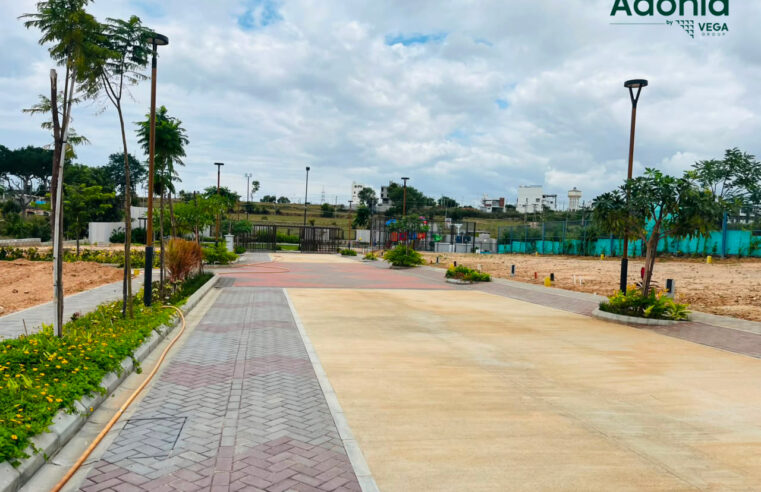 Vega Group Launches Vega Adonia in Mysuru, Bringing Premium, Low-Density Plotted Living to Vijayanagar